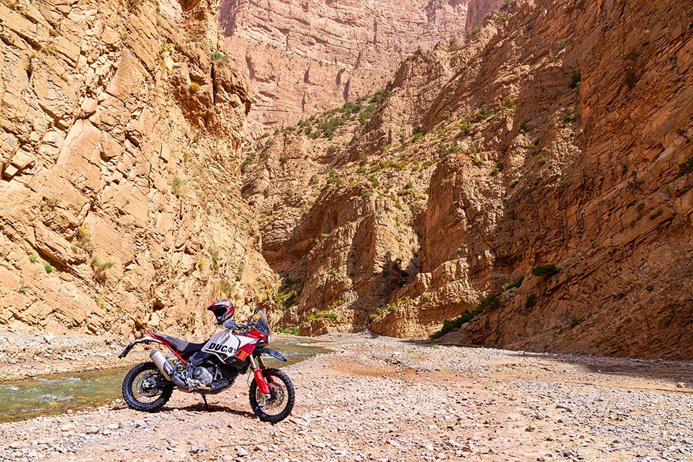 Ducati DesertX Rally: tutte le immagini